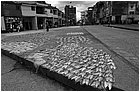 119054---colombia----choc---quibd.-pesce-a-esiccare-in-strada----ago-2008-.jpg