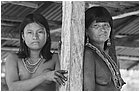 119762---colombia----choc---fiume-baud---el-morro---indigeni-embera.-donne-dipinte-per-curarsi----ago-2008-.jpg