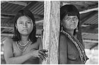 119762---colombia----choc---fiume-baud---el-morro---indigeni-embera.-donne-dipinte-per-curarsi----ago-2008-.jpg