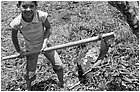 120274---colombia----antioquia.-medellin.-quartiere-desplazados-la-aurora-(robledo)-durante-attivit-educativa-produttiva-aca-----set-2008-.jpg