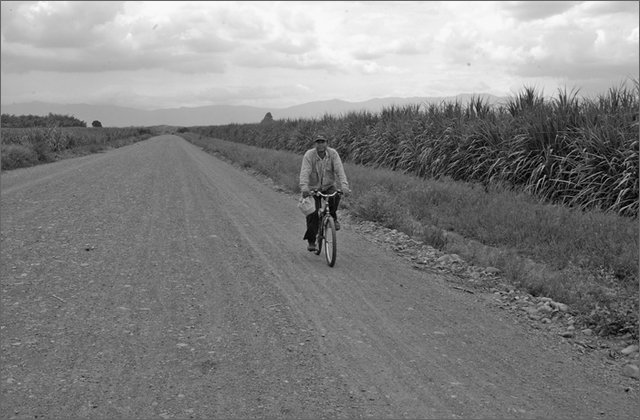 121925---colombia----valle-del-cauca---palmira.--ingenio-la-providencia.-sciopero-dei-raccoglitori-di-canna-con-blocco-della-fabbrica----ott-2008-.jpg