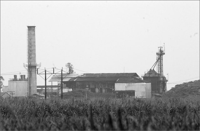 122097---colombia----valle-del-cauca---palmira,ingenio-central-tumaco-sciopero-con-blocco-dei-lavoratori-della-canna-da-zucchero.-fabbrica.----ott-2008-.jpg