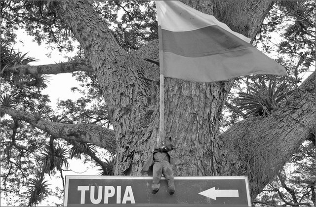 122150---colombia----valle-del-cauca---candelaria,-ingenio-mayaguez.-sciopero-con-blocco-dei-lavoratori-della-canna-da-zucchero.-----ott-2008-.jpg