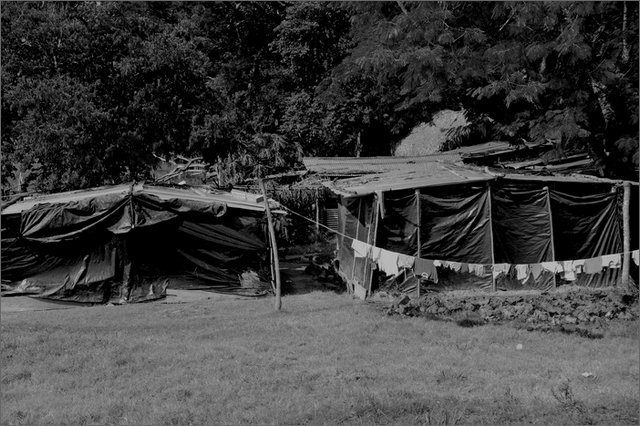 127009 - colombia - las pavas accampamento in cambuches - municipio buenos aires  - giu 2012-.jpg