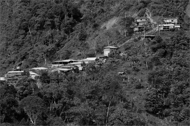 127363 - colombia - da mina gallo a mina viejita  - giu 2012-.jpg