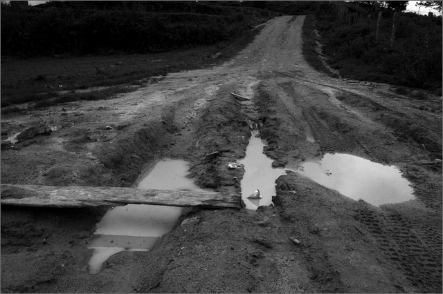 127756 - colombia - la y.   - giu 2012-.jpg