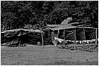 127009 - colombia - las pavas accampamento in cambuches - municipio buenos aires  - giu 2012-.jpg