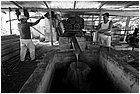 127083 - colombia - al trapiche associazione asopamir vicino a caimital per produzione di panela.   - giu 2012-.jpg