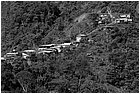 127363 - colombia - da mina gallo a mina viejita  - giu 2012-.jpg