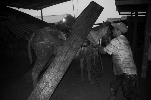 128104 - colombia - san pedro frio (mina vieja).  - giu 2012-.jpg