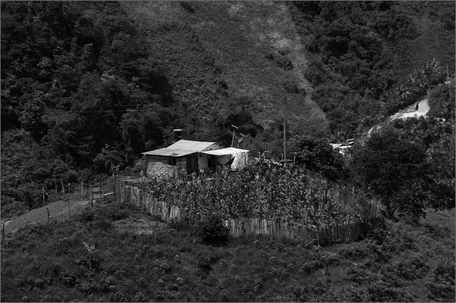 128421 - colombia - la quina. dintroni  - giu 2012-.jpg