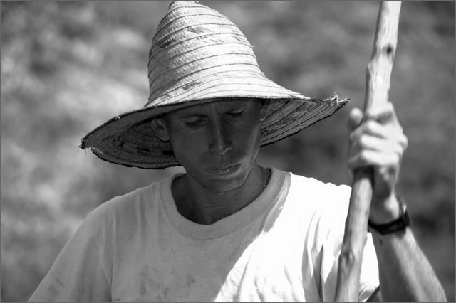 128584 - colombia - dintroni la quina. seminando cipolla.  - giu 2012-.jpg