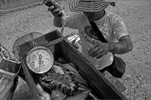 129375 - colombia - trinidad  - lug 2012-.jpg