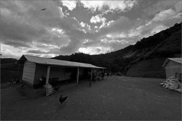 129564 - colombia - guaciles  - lug 2012-.jpg