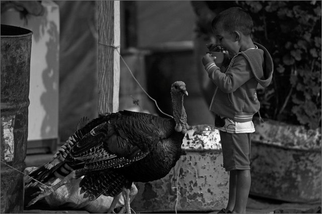 129583 - colombia - guaciles  - lug 2012-.jpg