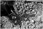 127891 - colombia - mina facil. operaio della miniera rompe i sassi con grosso martello  - giu 2012-.jpg