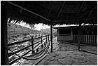 128051 - colombia - da mina facil a san pedro frio (mina vieja)  - giu 2012-.jpg