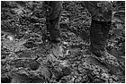 128058 - colombia - da mina facil a san pedro frio (mina vieja). daniel minatore  - giu 2012-.jpg