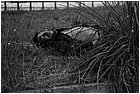 128230 - colombia - bogot. barboni sulla decma sotto ponte  - giu 2012-.jpg