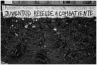 128240 - colombia - bogot. universit nazionale, murales  - giu 2012-.jpg