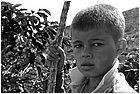 128539 - colombia - dintroni la quina. piantagione di caff  - giu 2012-.jpg