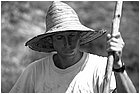 128584 - colombia - dintroni la quina. seminando cipolla.  - giu 2012-.jpg