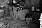 128627 - colombia - dintroni la quina  - giu 2012-.jpg