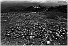 128650 - colombia - dintroni la quina, yerbabuena. coltivazione cipolle  - giu 2012-.jpg