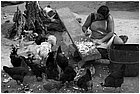 129293 - colombia - trinidad  - lug 2012-.jpg
