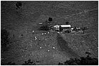129401 - colombia - la libertad  - lug 2012-.jpg