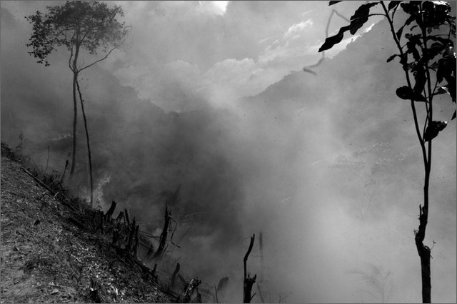 129689 - colombia - da bari verso honduras. incendio per bonificare  - lug 2012-.jpg
