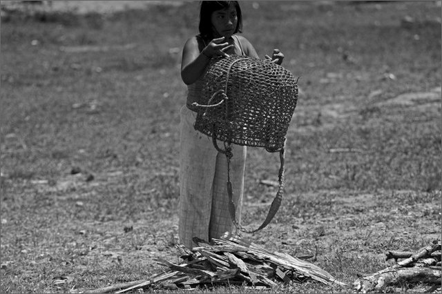 129858 - colombia - dintroni honduras. bari birikaira  - lug 2012-.jpg