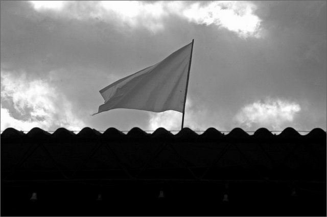 130055 - colombia - cauca. toribo. bandiera bianca sul cecidic  - lug 2012-.jpg