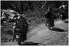 129726 - colombia - dintorni honduras. lavoro comunitario manutenzione strada  - lug 2012-.jpg