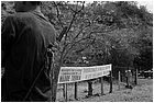 131188 - colombia - huila.  el hobo. quebrada el pescador.  nell'accampamento  - ago 2012-.jpg