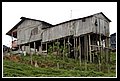 DSC_48.JPG