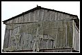 DSC_49.JPG