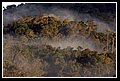 DSC_65.JPG