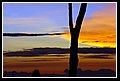 DSC_67.JPG