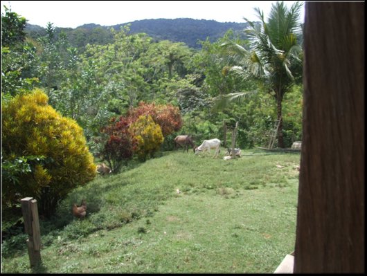 18_vista dalla finca La Granja.jpg