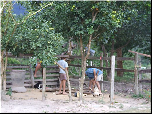 35_i bambini della casa lavorando.jpg