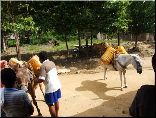 37_le mule salgono.jpg