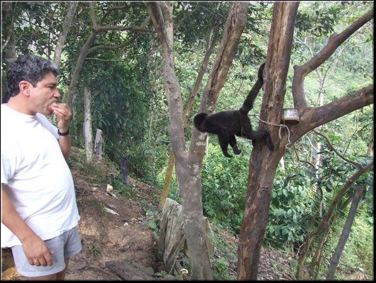 56_Jairo vs scimmietta.jpg