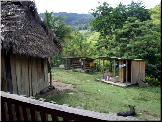 59_la Granja_bagno,lavatoio e pollaio.jpg