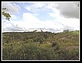 04_panorama durante il viaggio.jpg