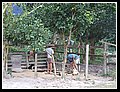 35_i bambini della casa lavorando.jpg