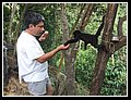 55_Jairo e la scimmietta.jpg