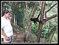 56_Jairo vs scimmietta.jpg