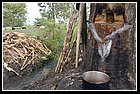 06 Ingenio Pichichi.jpg