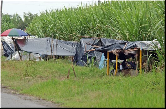 17 Ingenio Tumaco.jpg
